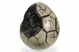 Huge Septarian Dragon Egg Geode ( lbs!) - Black Crystals #249145-2